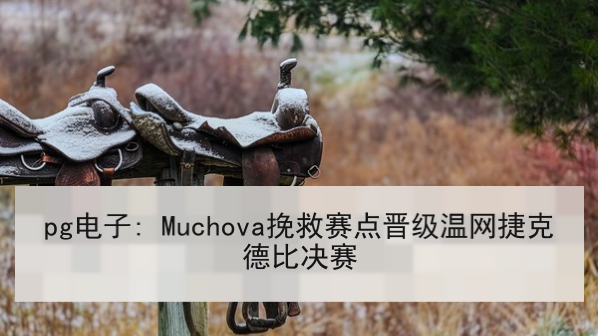 pg电子: Muchova挽救赛点晋级温网捷克德比决赛