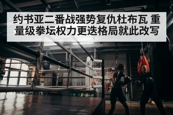 boxer training